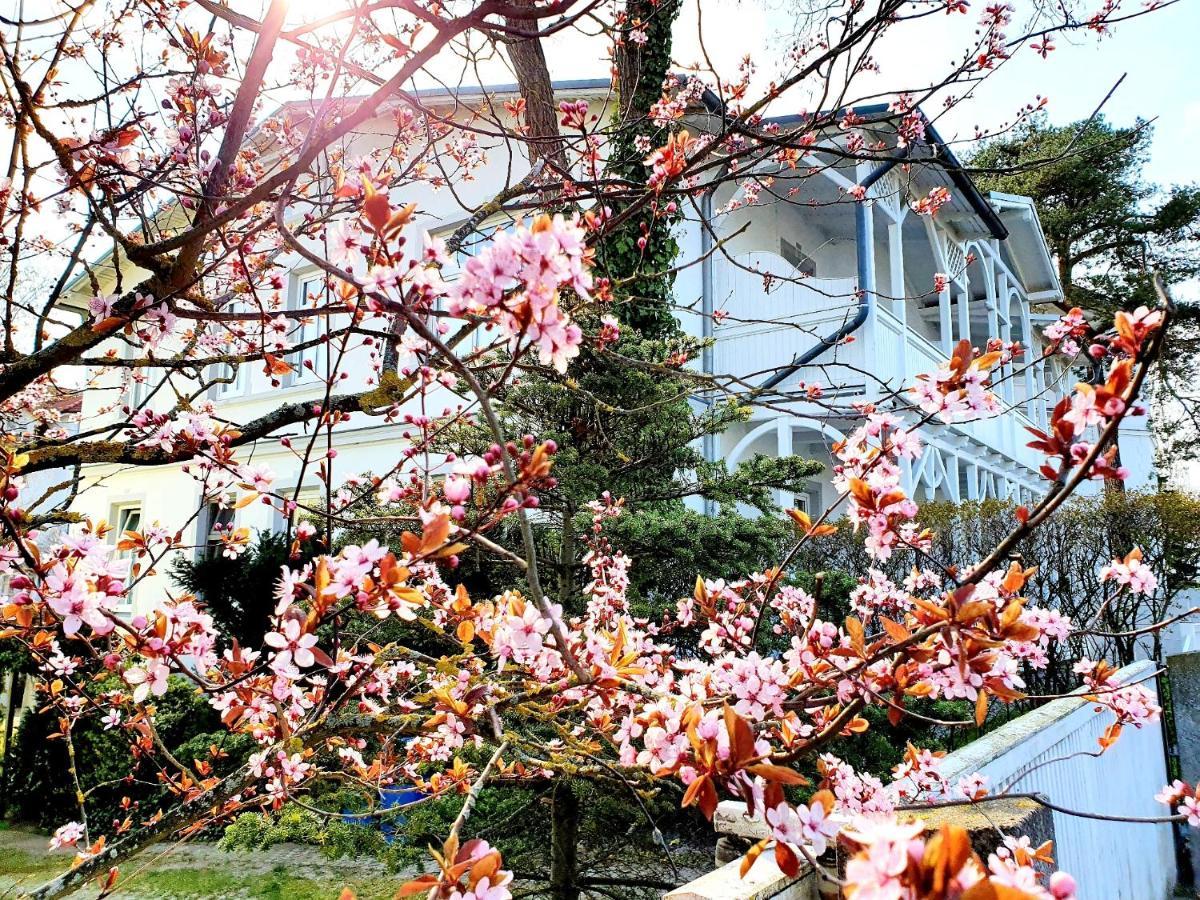 Villa Asta Ostseebad Ostseebad Binz Exterior foto